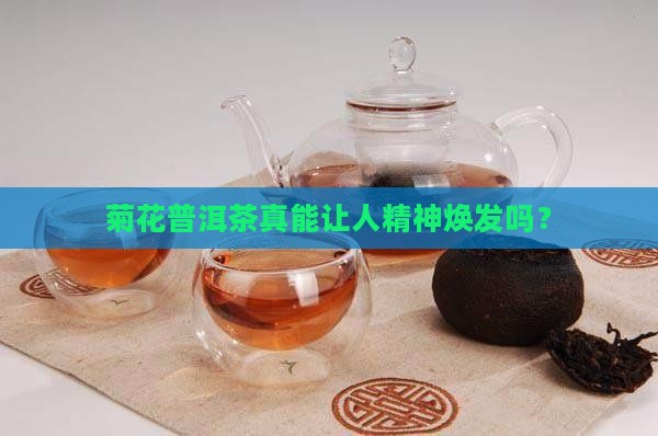 喝菊花普洱茶提神吗