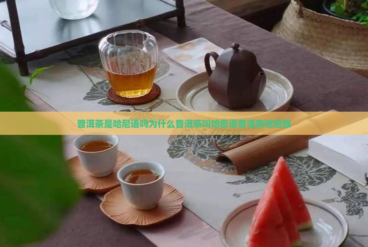 普洱茶是哈尼语吗为什么