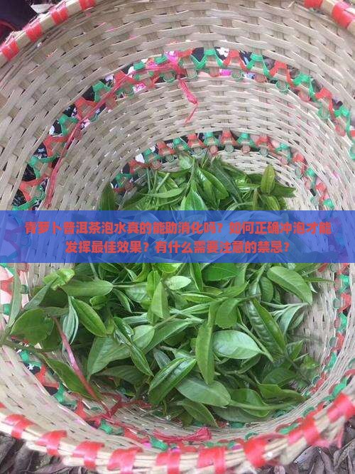 青萝卜普洱茶泡水