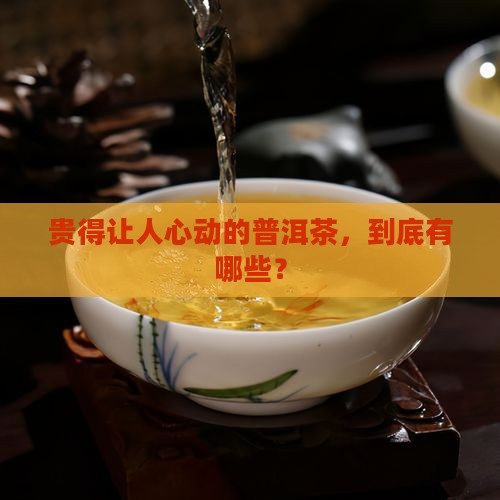 贵的普洱茶种类有哪些