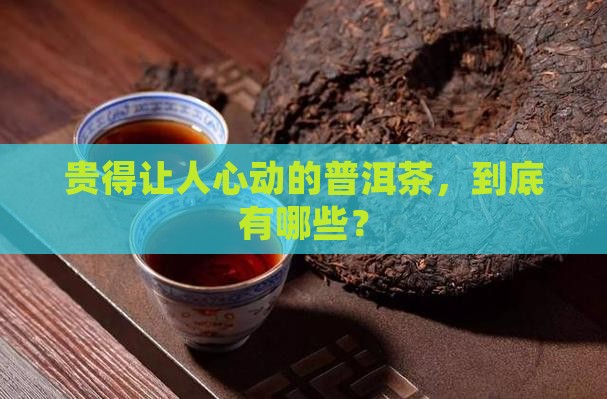 贵的普洱茶种类有哪些