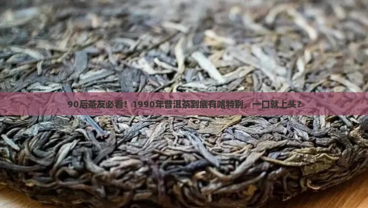 茶魂普洱茶1990