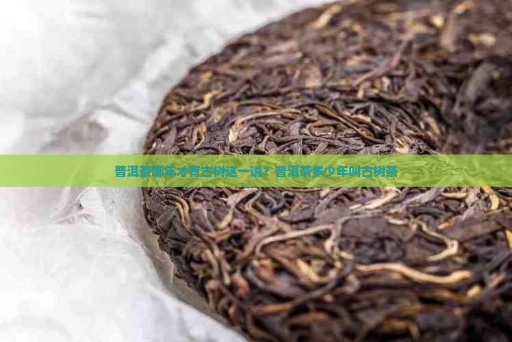 普洱茶哪年才有古树这一说