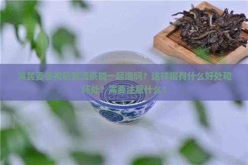 黄芪麦冬枸杞普洱茶