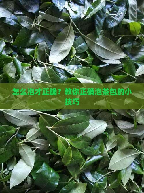 如何正确泡茶包