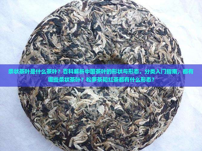 条状茶叶是什么茶叶