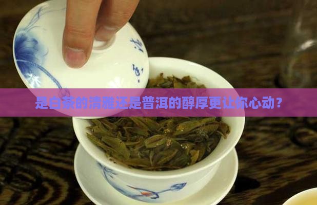 白茶与普洱茶的口感差异