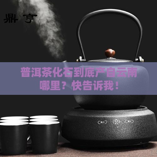 云南普洱茶化石原产地在哪