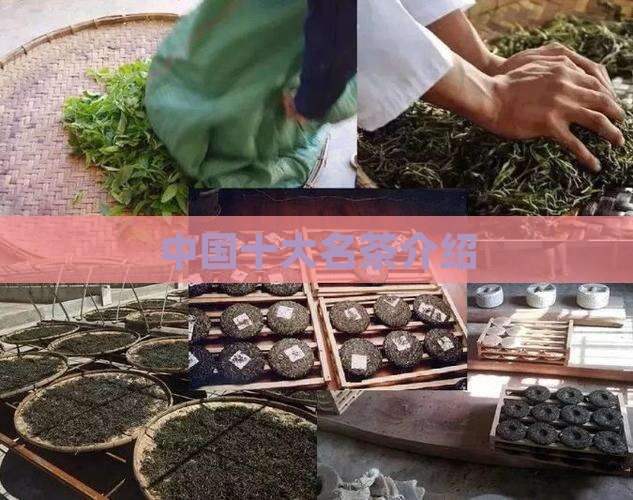 中国十大名茶介绍