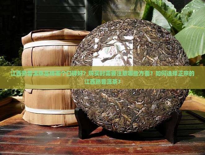 江西熟普洱茶哪家不错