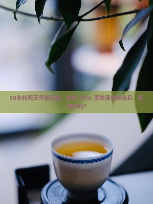 五十年代双天号普洱茶