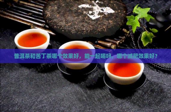 普洱茶和苦丁茶哪个效果好