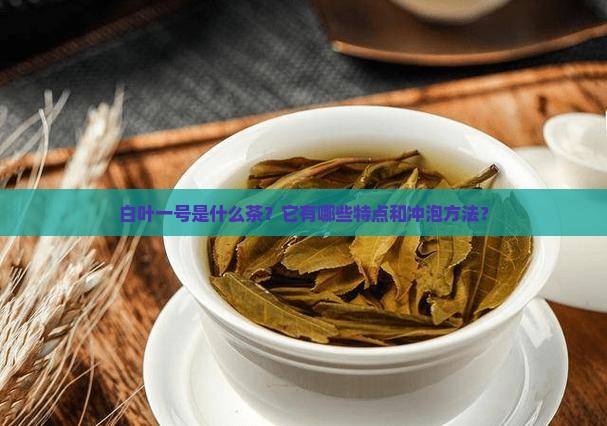 白叶一号是什么茶