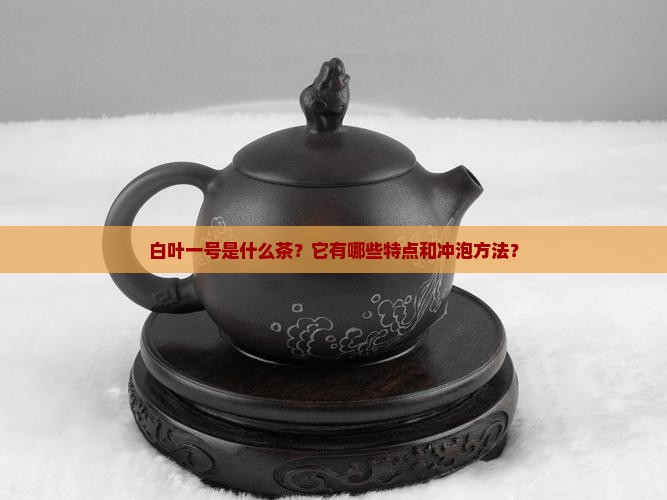 白叶一号是什么茶