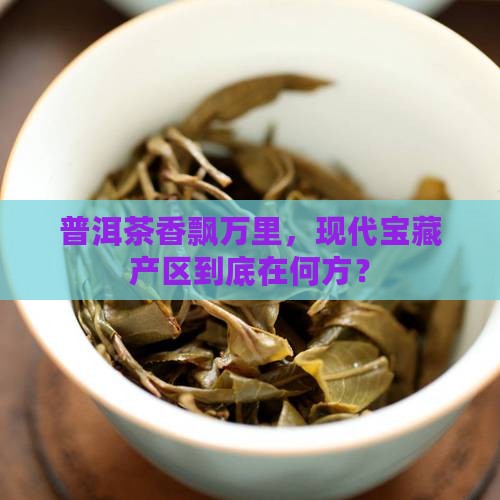 现代著名普洱茶产区是那里
