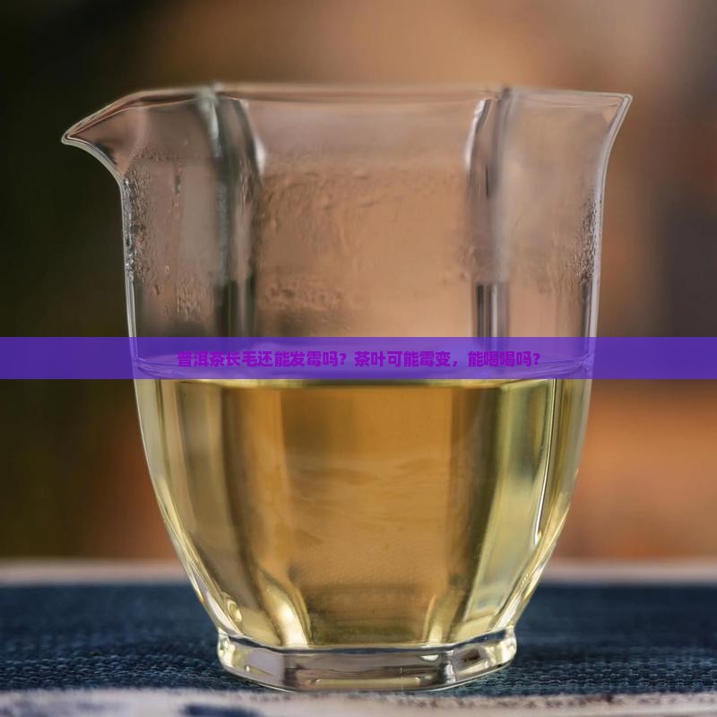 普洱茶长毛能喝吗