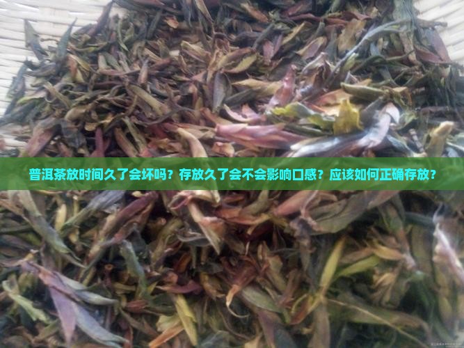 普洱茶放时间久了会坏吗 普洱茶放时间久了会坏吗