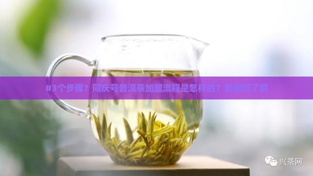 同庆号普洱茶怎么加盟