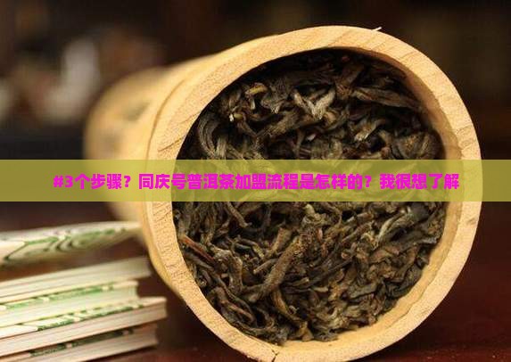 同庆号普洱茶怎么加盟
