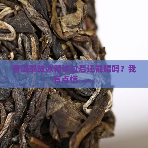 普洱茶冷藏后能不能喝