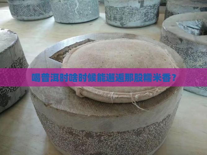 哪个普洱煮出来有糯米香