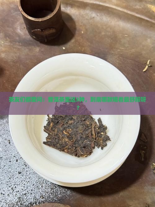 普洱茶哪种比较好喝一点