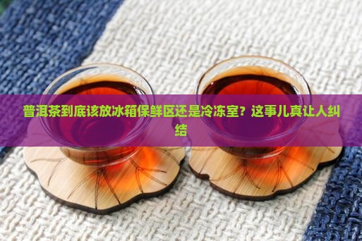 普洱茶放保鲜还是冰冻