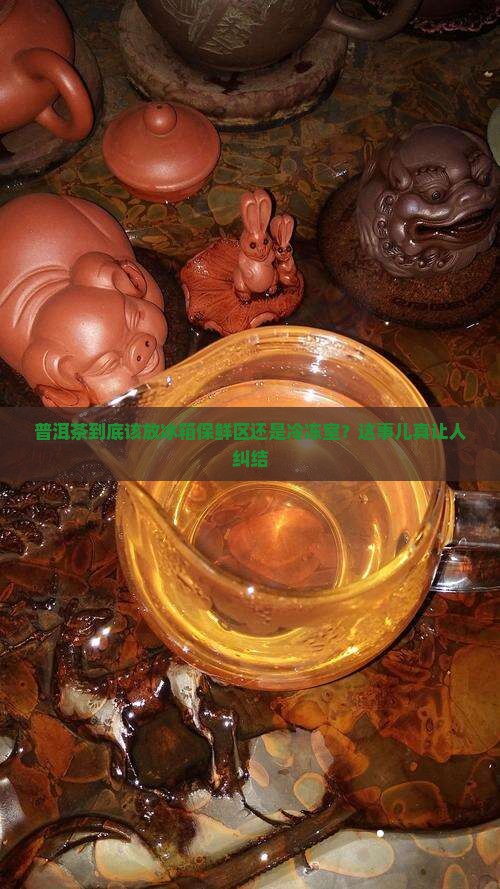 普洱茶放保鲜还是冰冻