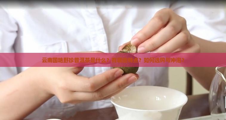 云南国艳野珍普洱茶