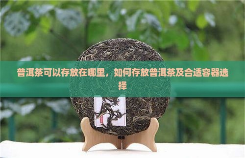 普洱茶可以存放在哪里