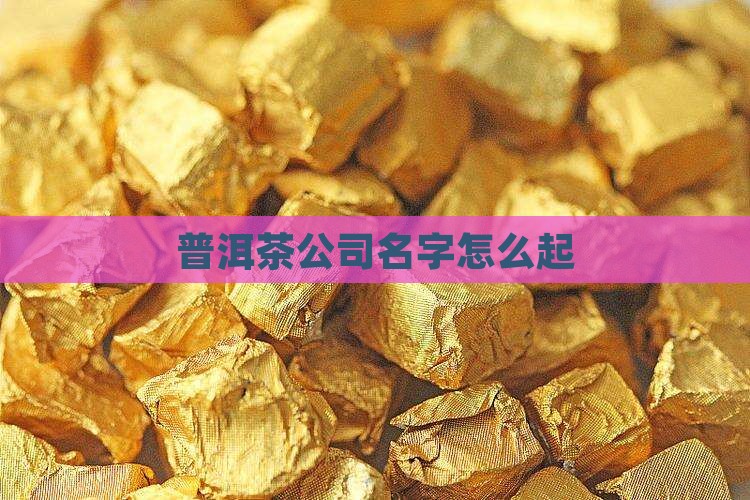 普洱茶公司名字怎么起
