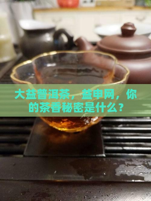 大益普洱茶益申网