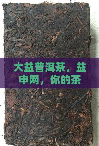 大益普洱茶益申网