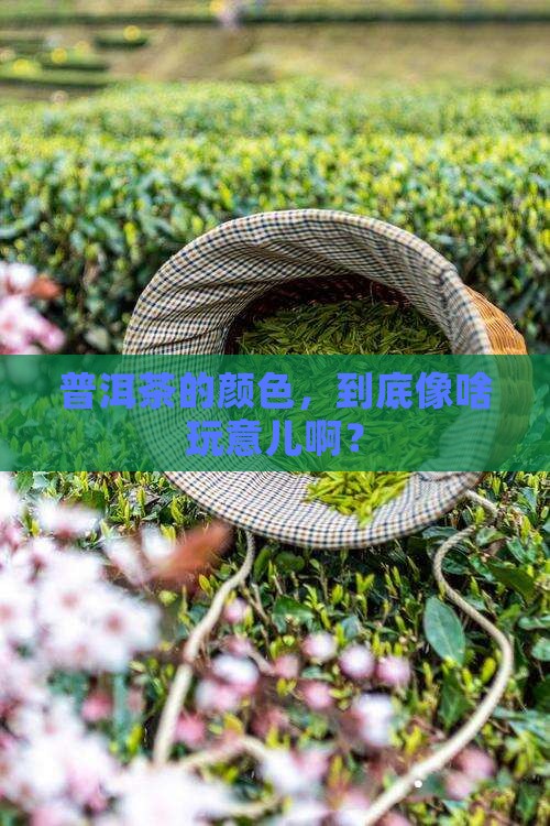 普洱茶颜色像什么颜色