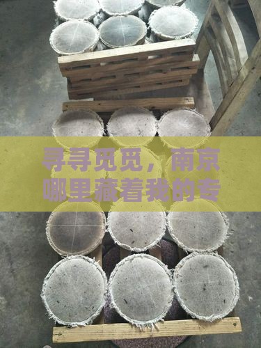 南京普洱茶专店什么位置有