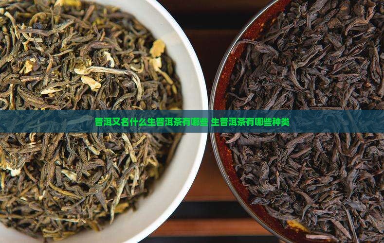 普洱又名什么生普洱茶有哪些