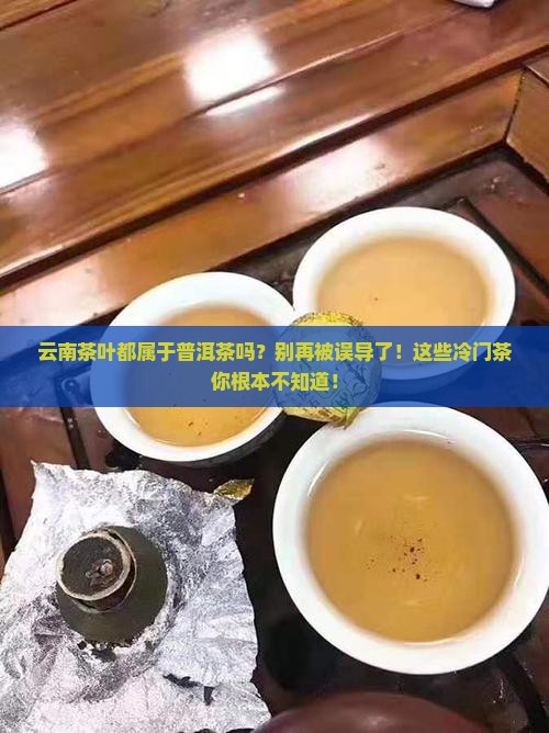 云南茶叶都属于普洱茶吗