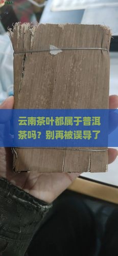 云南茶叶都属于普洱茶吗