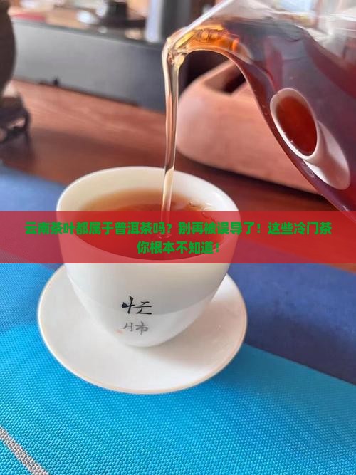 云南茶叶都属于普洱茶吗