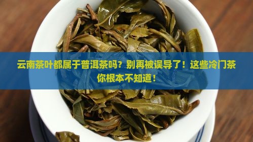 云南茶叶都属于普洱茶吗