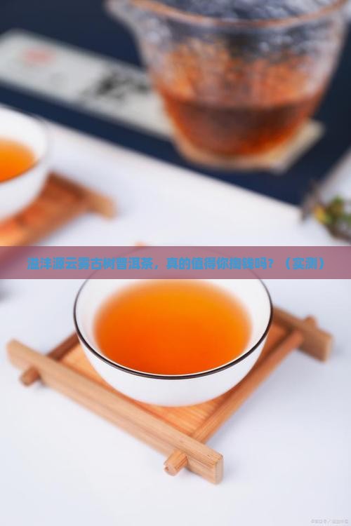 溢沣源云雾古树普洱茶