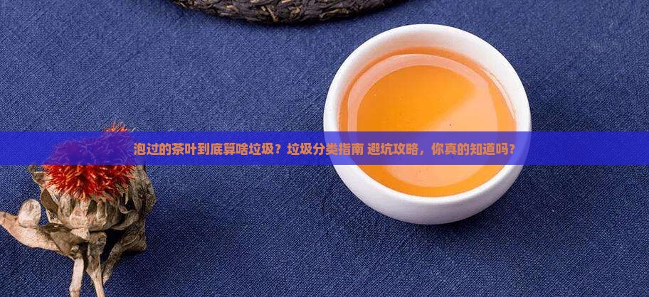 泡过的茶叶是属于什么垃圾