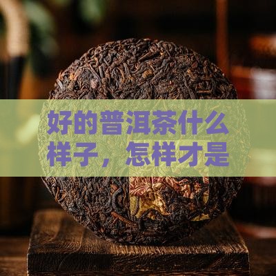 好的生普洱茶是什么样子