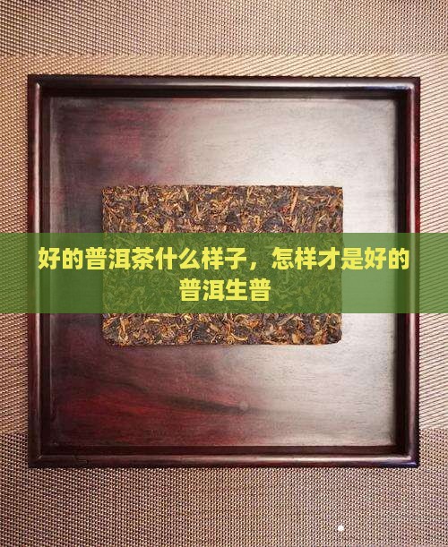 好的生普洱茶是什么样子