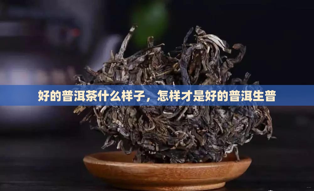 好的生普洱茶是什么样子