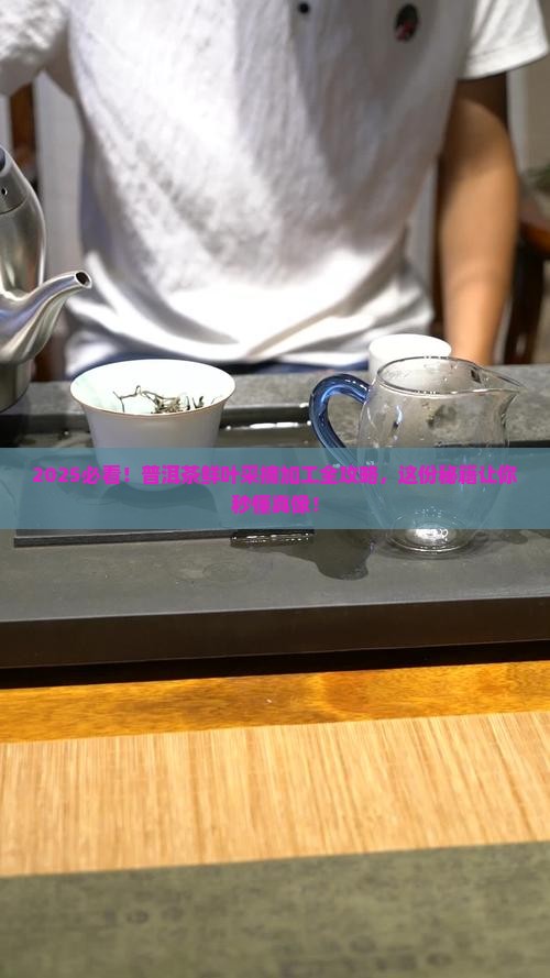 普洱茶原料鲜叶采摘及加工