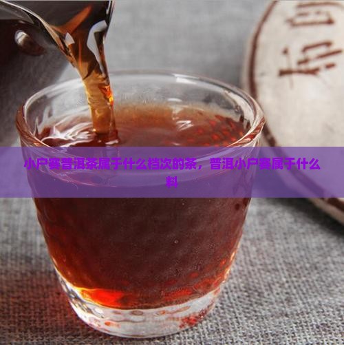 小户赛普洱茶属于什么档次的茶