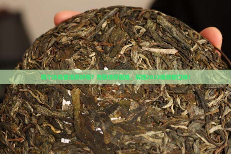 哪个冰岛普洱茶好喝
