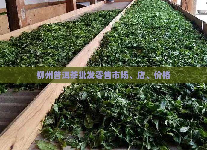 柳州普洱茶批发零售