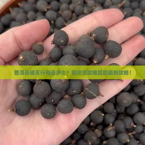 普洱茶城支行电话